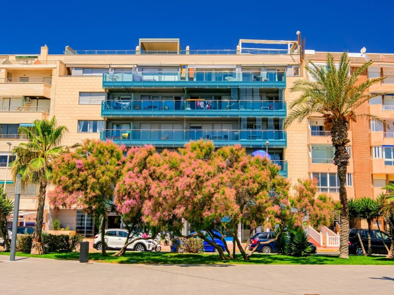 #1ZA8168 Venta de Piso en Torrevieja